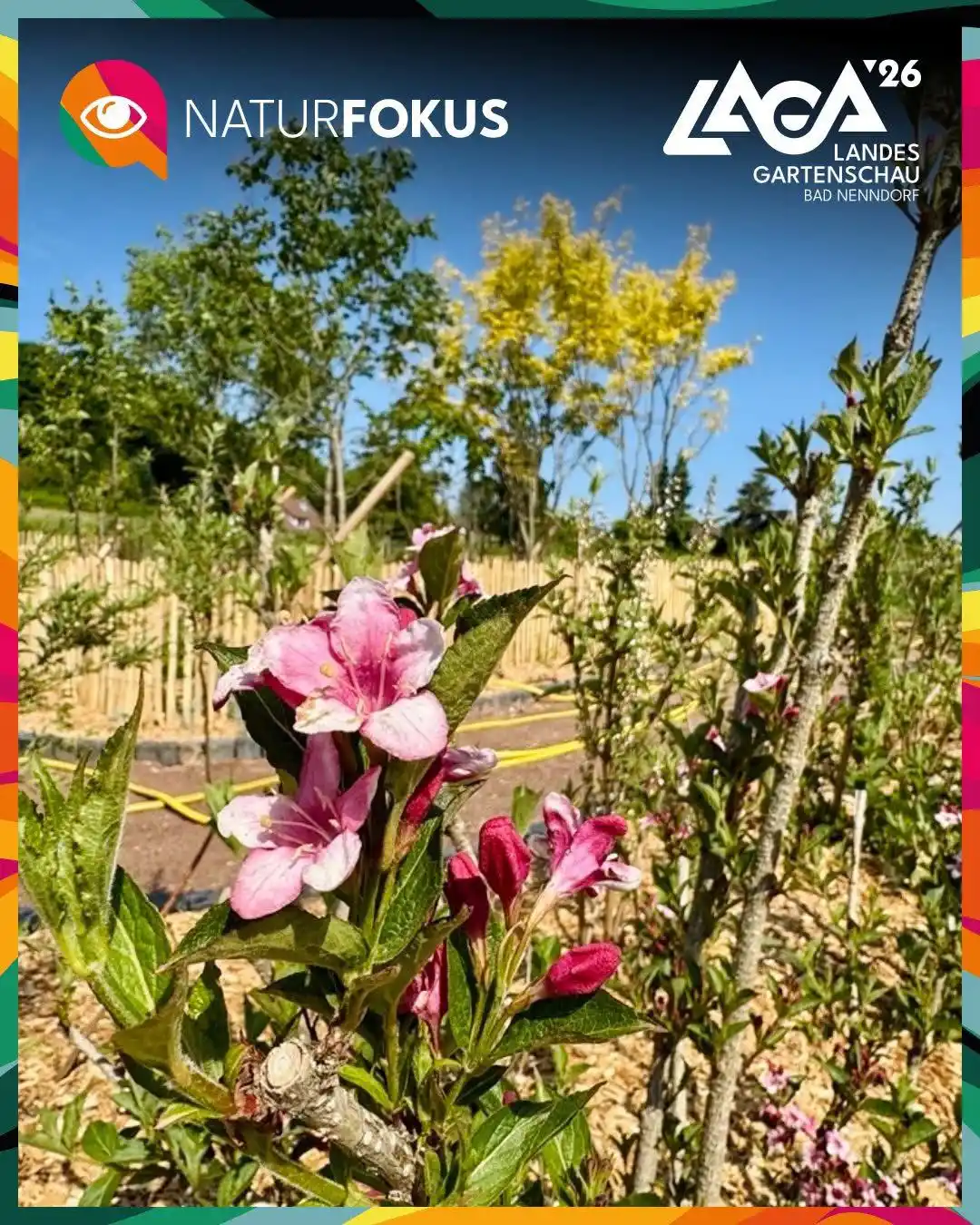 Image from Landesgartenschau Bad Nenndorf: Blühende Vorboten der Zukunft In unserer Reihe NaturFokus setzen wir ...