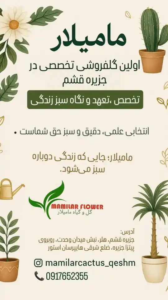 Image from صدای شهروند قشم: --- گیاهان زمزمههای سبز طبیعتاند که با حضورشان، جانِ خانه را تازه می...