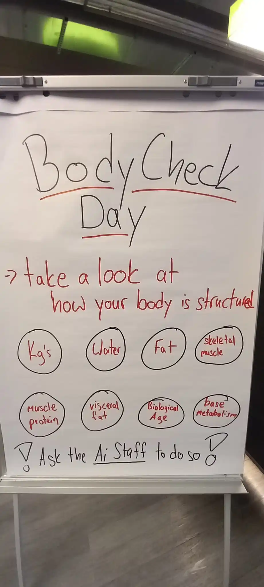 Image from Ai Fitness Marburg: Hello Ai Family, Morgen ist Bodycheck Day bei uns im Studio. Also lad ...