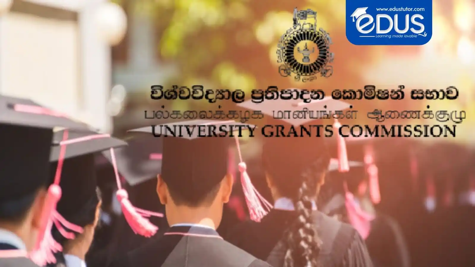 Image from Edus.lk 🎓: க.பொ.த உயர்தரப் பரீட்சை சித்தி பெற்ற மாணவர்களுக்கு வெளியான அறிவிப்பு �...