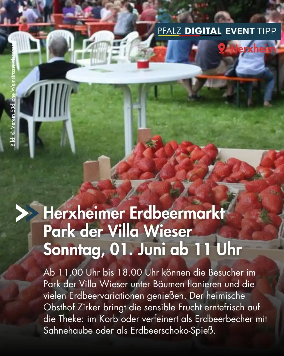 Image from Pfalz Digital: *ミ🍓🍓 Auf dem Herxheimer Erdbeermarkt dreht sich alles um die frische...