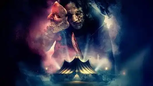 Wonder | Catálogo post