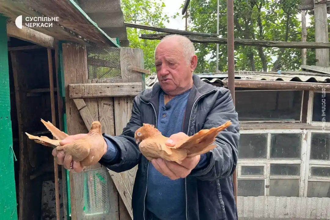Image from Суспільне Черкаси: > "Усе своє свідоме життя, окрім армії і навчання, займаюся голубами. ...