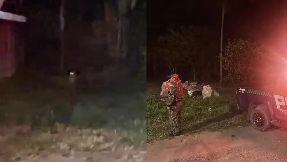 Image from g1 MS: *VÍDEO* Onça-pintada é vista em mais um passeio em área residencial du...