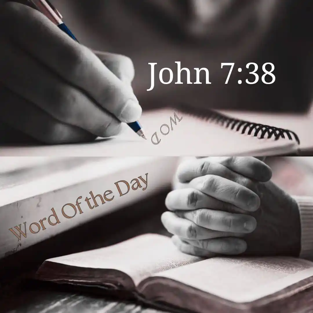 Image from Richard Kaf💧: *WORD OF THE DAY💧*
*Jean 7:38📖*
*Celui qui croit en moi, comme l...