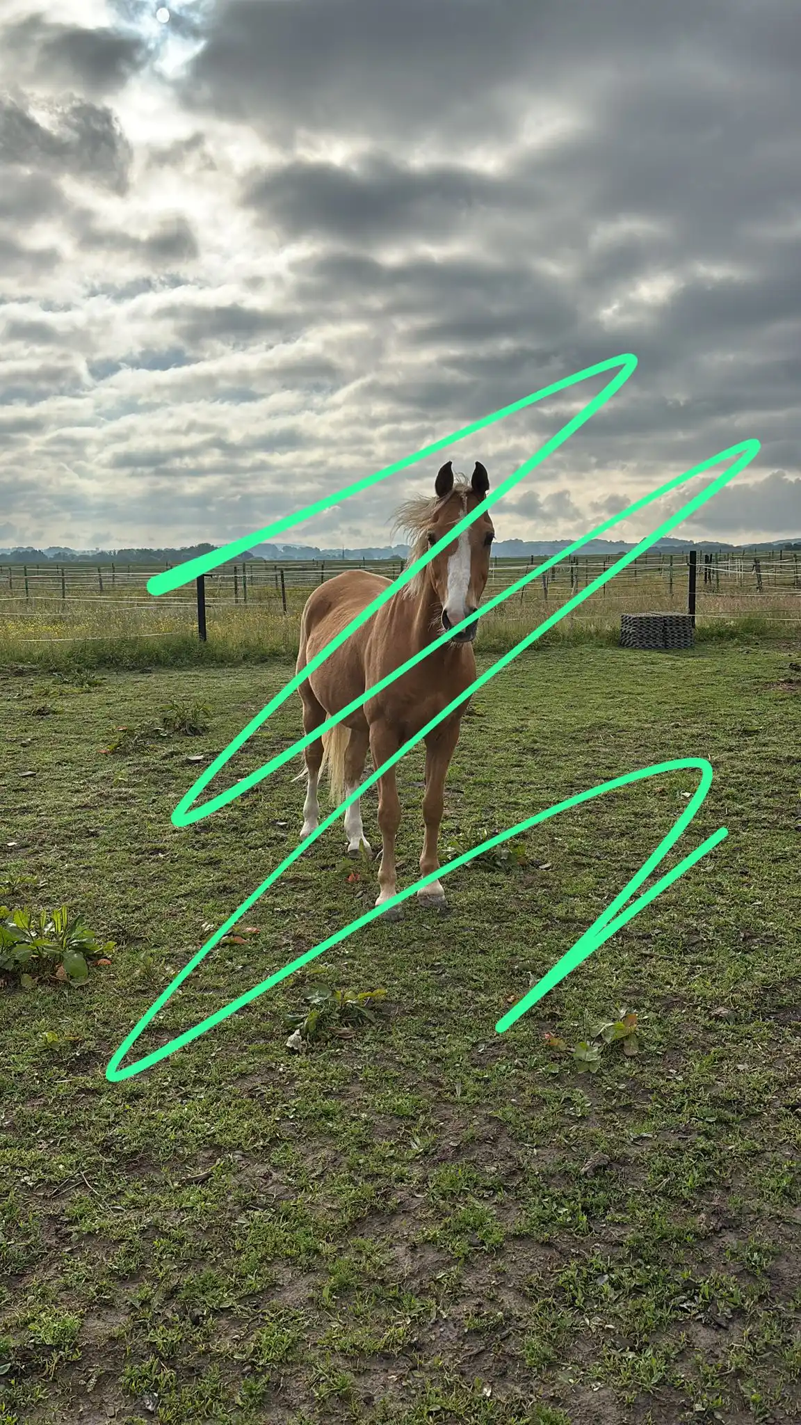 Only_me_J🫶🏻🧸 post