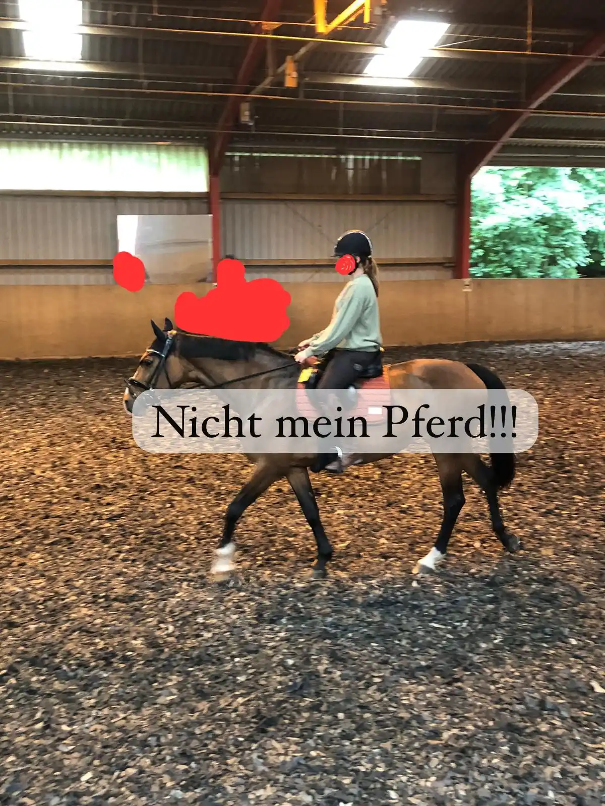 Image from Only_me_J🫶🏻🧸: Durfte heute das Pferd von einer Freundin reiten weil sie im Urlaub is...