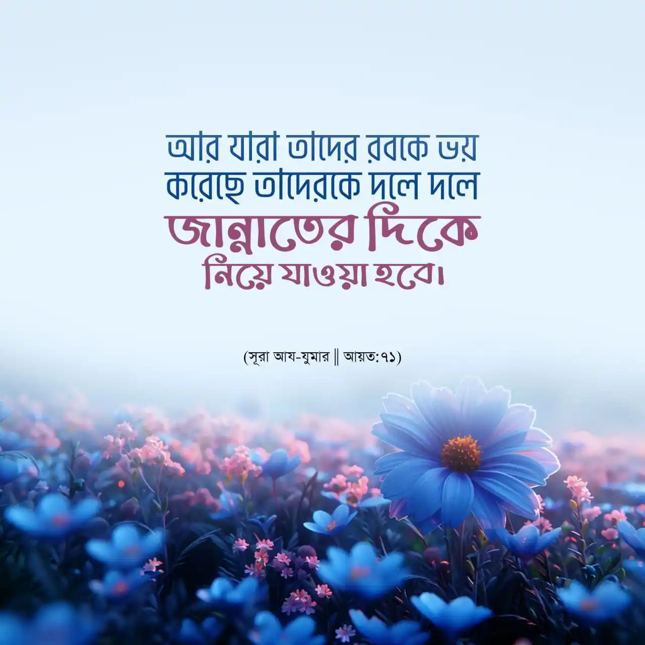 Image from Abdul Zabbar: *<a class="text-blue-500 hover:underline cursor-pointer" href="/hashta...
