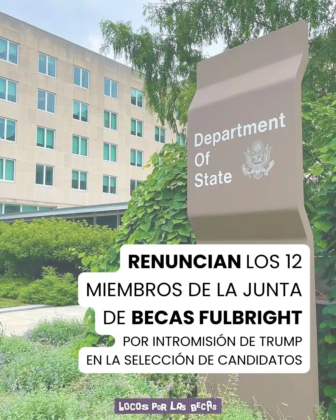 Image from Locos por las Becas: 🔥Tremendo varapalo: renuncian los 12 miembros de la Junta de Becas Fu...