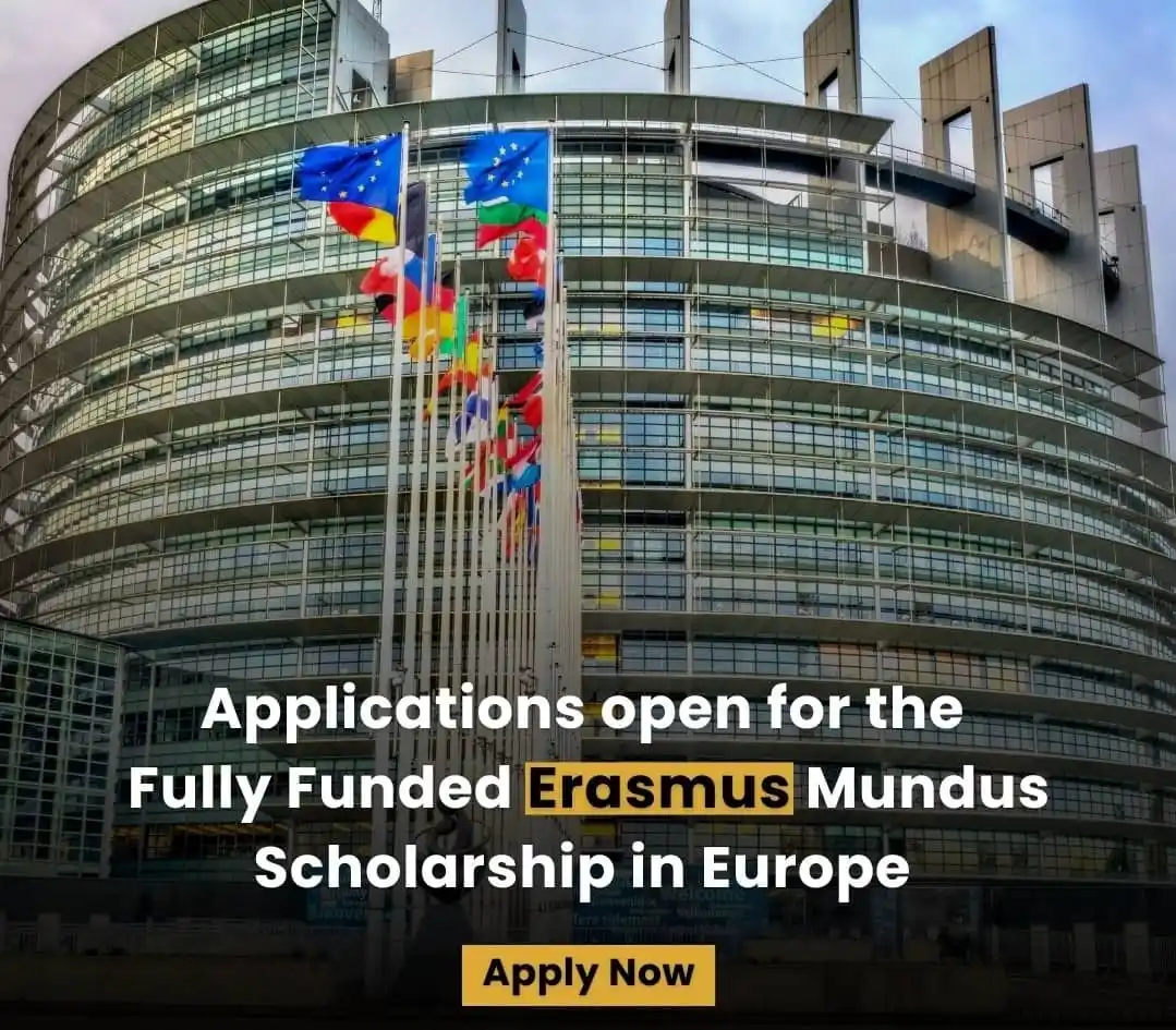 UN Jobs & NGO Jobs post