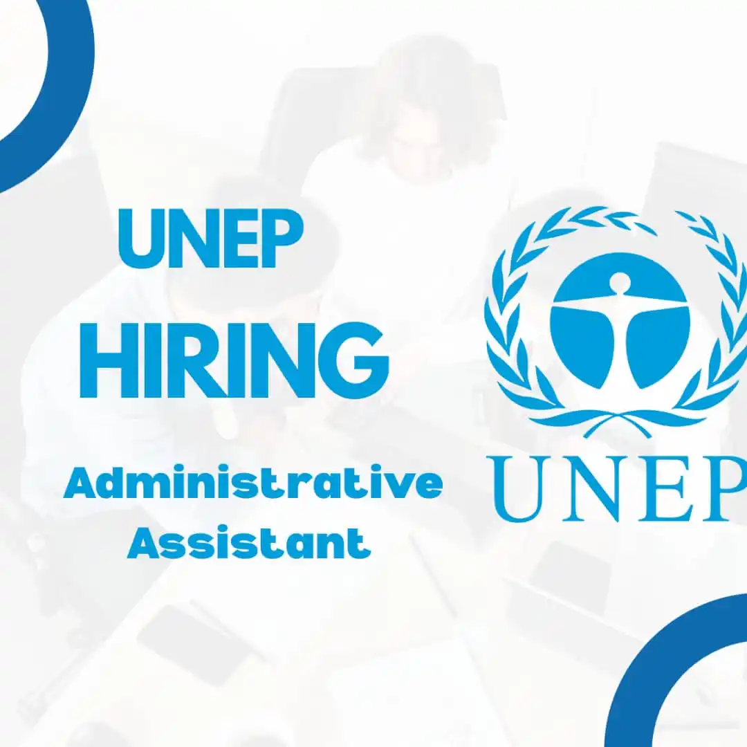 Image from UN Jobs & NGO Jobs: ππ¦π©π¨π°ππ«π’π§π πππ¦π’π§π’π¬ππ«πππ’π―π ππ±πππ₯π₯ππ§ππ...