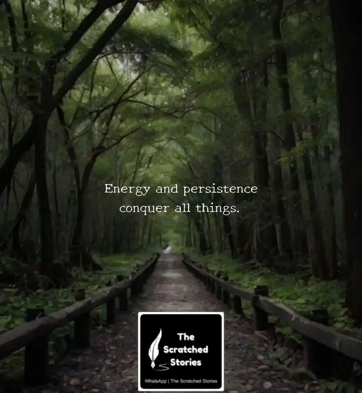 Image from The Scratched Stories: *Energy and persistence conquer all things.*...