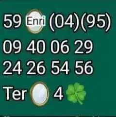 (🚂EL TREN 🚂DEL BINGOOO) 👼LOS ÁNGELES 👼 DE LA🦩FLORIDA #2🦩 post