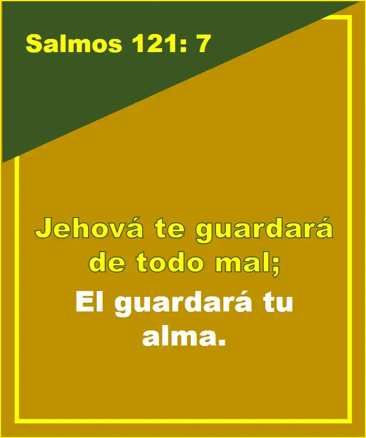 Image from Controversia Radio: La Biblia Dios Habla Hoy dice: <a class="text-blue-500 hover:underlin...