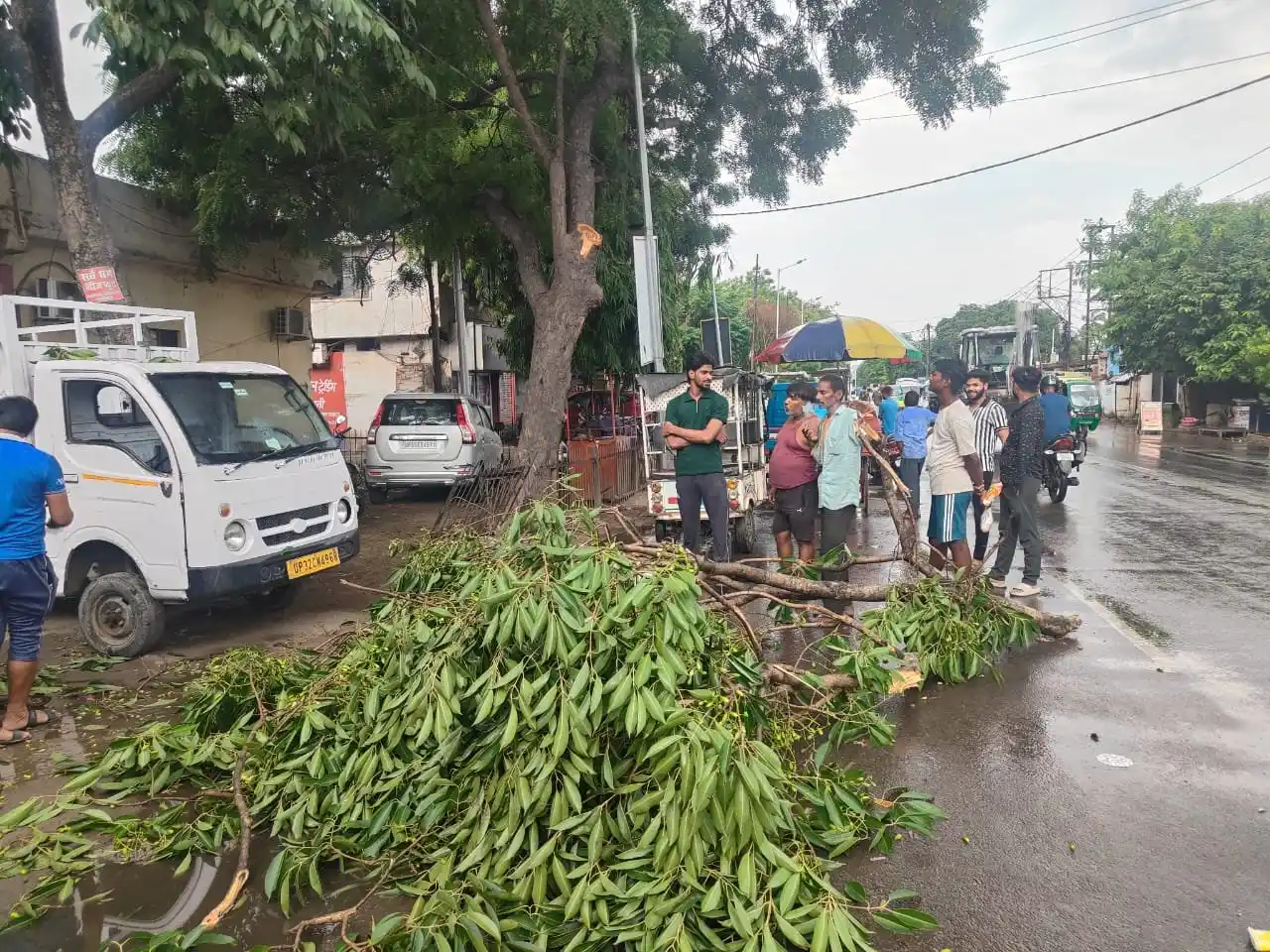 Image from Bpi News: 🚨 लखनऊ: तेज बारिश और हवाओं से टूटी पेड़ की डाल 🚨 🌳 SBI एटीएम के पा...