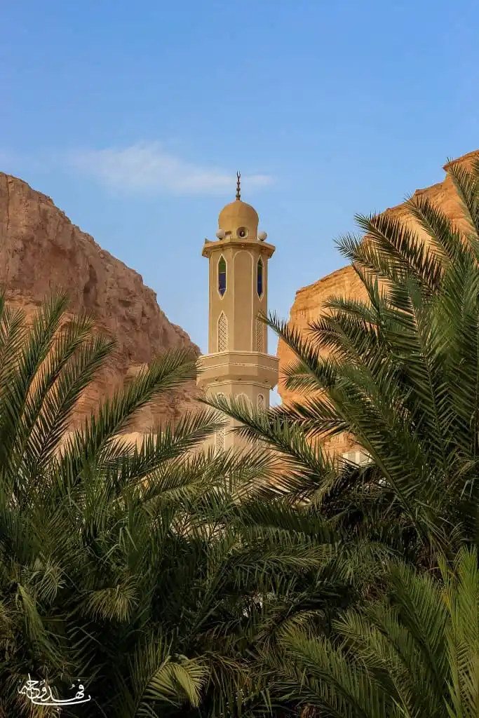 Image from وادي الأحبة - دوعن 🌴🐝: 🕌 *مواعيد الأذان بمناطق دوعن* 🕌 ━━━━━━━━━━━━━━━━━━━━━ *□ الأربعاء* *...