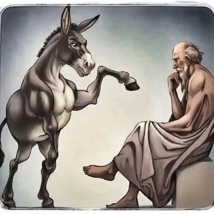 Image from 💫علم و ادب اور حکمت✨: سقراط نے ایک بار کہا تھا۔ "اگر کوئی گدھا مجھے لات مارتا ہے تو کیا میں ...