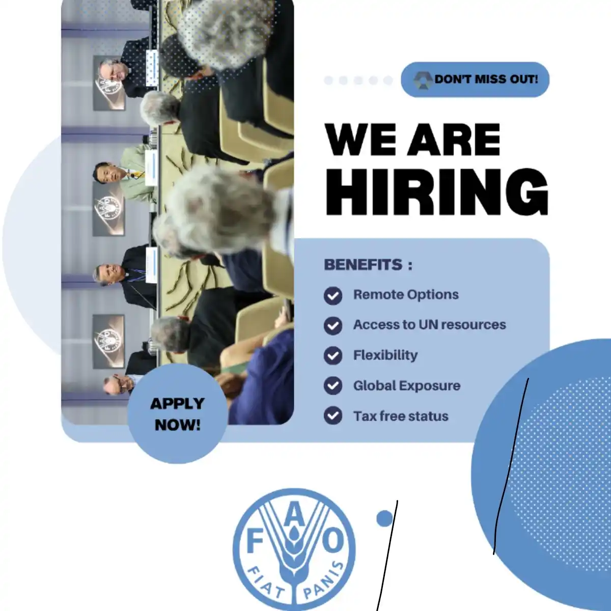 Image from UN Jobs & NGO Jobs: 𝗧𝗵𝗲 𝗙𝗼𝗼𝗱 𝗮𝗻𝗱 𝗔𝗴𝗿𝗶𝗰𝘂𝗹𝘁𝘂𝗿𝗲 𝗢𝗿𝗴𝗮𝗻𝗶𝘇𝗮𝘁𝗶𝗼𝗻...