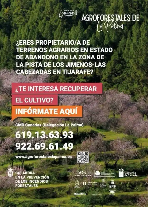Image from Ayuntamiento de Tijarafe: 🌲 AGROFORESTALES DE LA PALMA 🌲 📌 ¿Eres propietario/a de terrenos a...