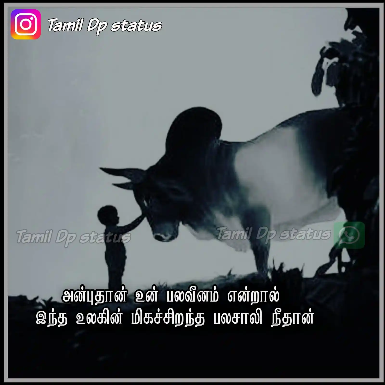 TAMIL DP STATUS post