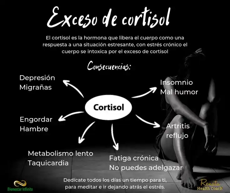 Image from Uritorco Naturaleza Ancestral: Cortisol... (El Mensajero Silencioso entre Dimensiones) En el escenar...
