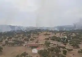 Image from ABC de Sevilla: 🔥 *El incendio de Burguillos no ha afectado al arbolado de la zona* ...
