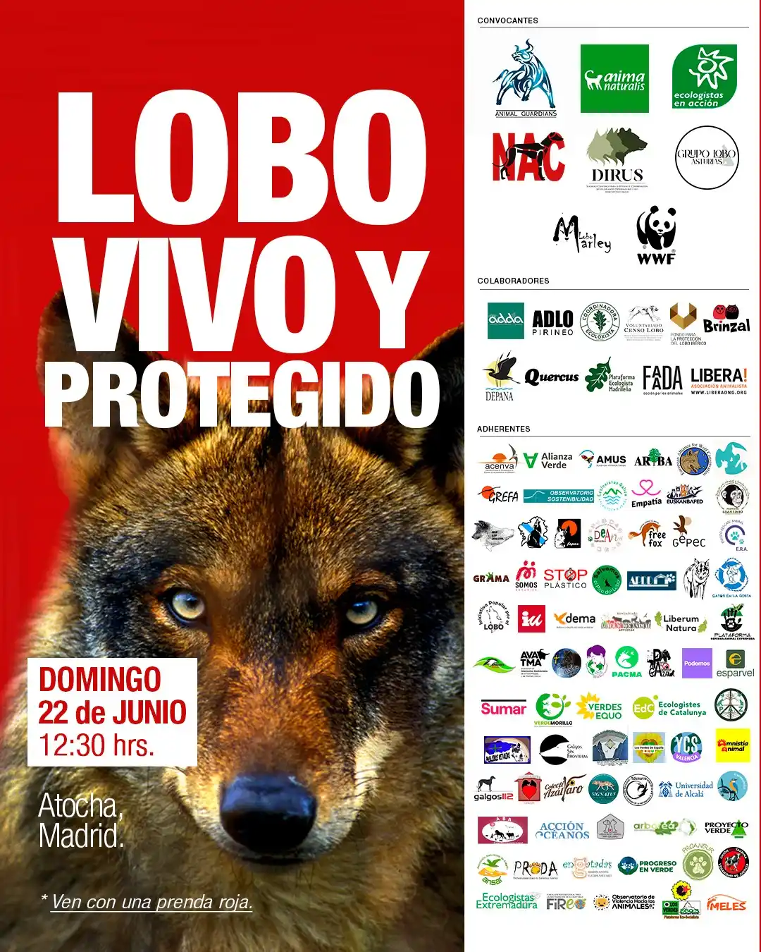 Image from GREFA: 📢 ¡Gran <a class="text-blue-500 hover:underline cursor-pointer" href=...
