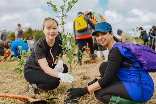 Image from Indian Newslink: https://indiannewslink.co.nz/south-asian-migrants-weave-connection-and...