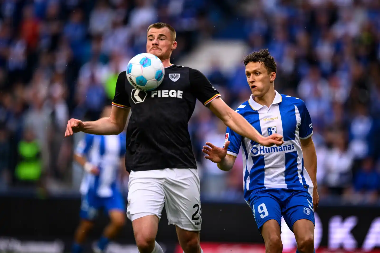 1. FC Magdeburg post