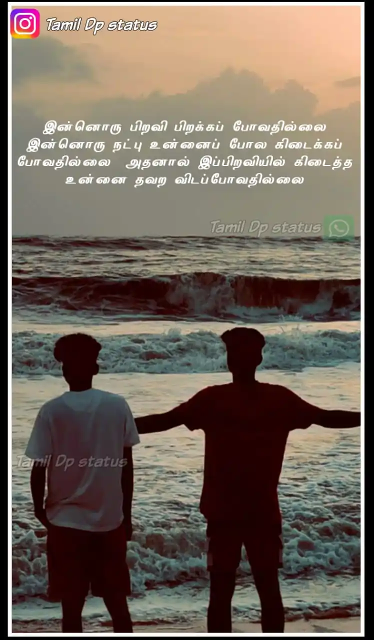 Image from TAMIL DP STATUS: இன்னொரு பிறவி பிறக்கப் போவதில்லை இன்னொரு நட்பு உன்னைப் போல கிடைக்கப் ப...