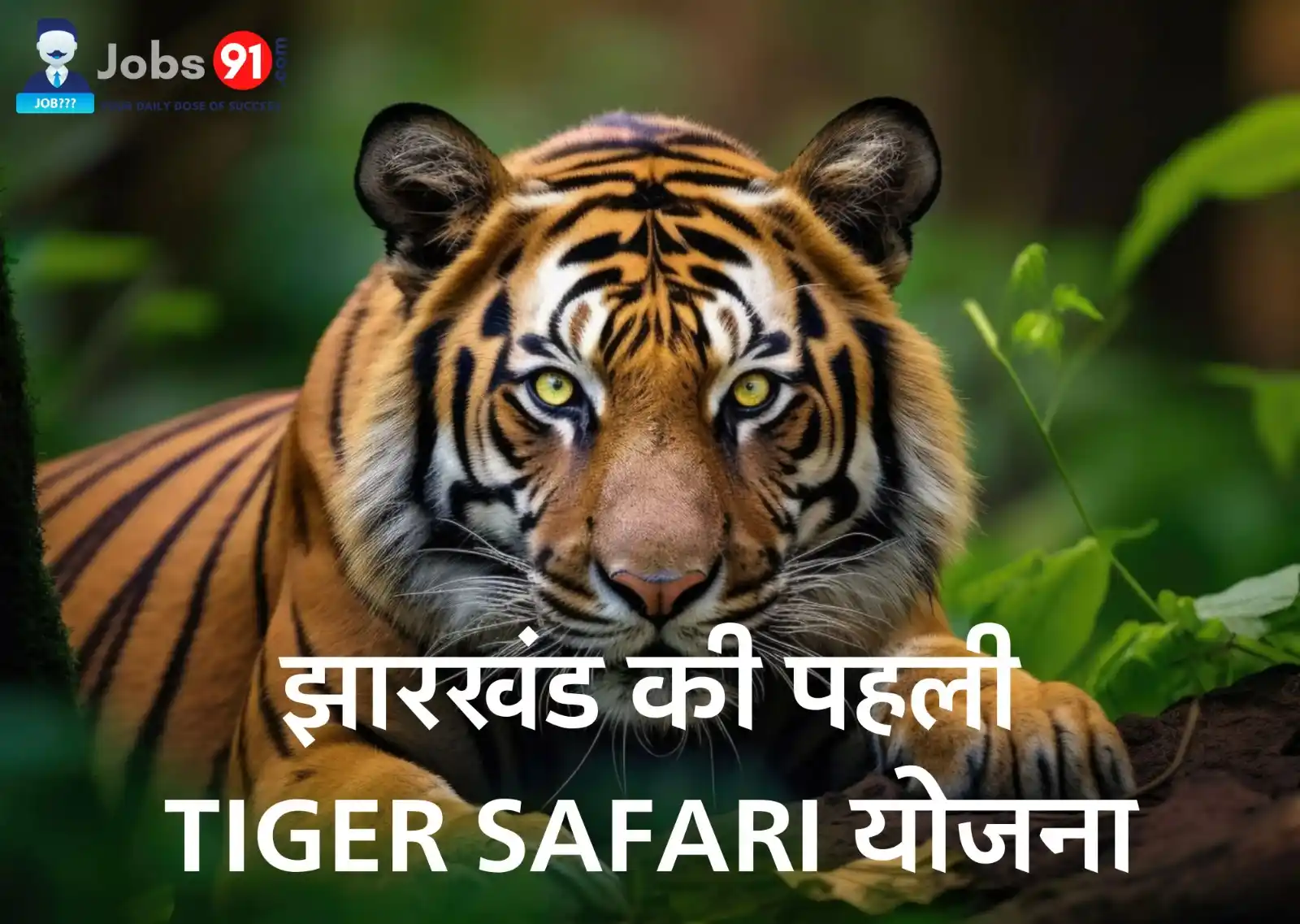 Image from Jobs91.com - Sarkari Jobs Alert: 🌿 झारखंड में बनने जा रही है पहली टाइगर सफारी! 📍 पलामू टाइगर रिज़र्व ...