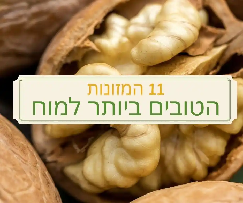Image from EatWell - ערוץ תזונה בריאה: לחצו לרשימה המלאה: https://eatwell.co.il/11-%d7%94%d7%9e%d7%96%d7%95%d...