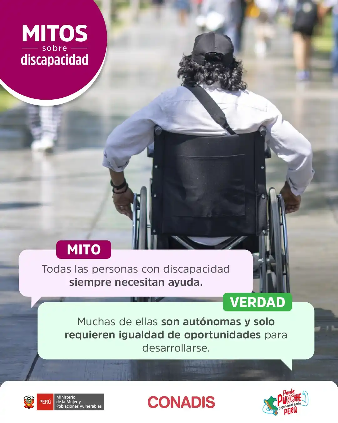 Image from MIMP Conadis: <a class="text-blue-500 hover:underline cursor-pointer" href="/hashtag...