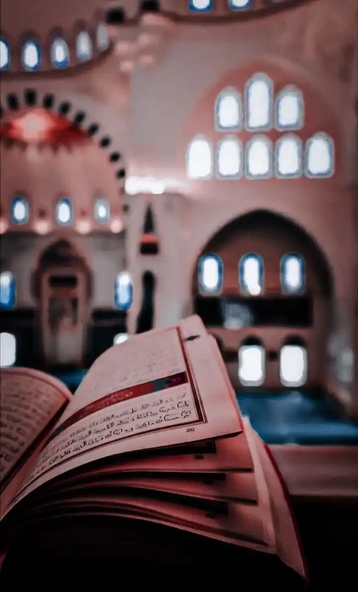 Image from 💧من كل بحرٍ قطـــرة💧: 💧 *من أحسن صحبته مع القرآن فليبشر!!* • جاء في حلية الأولياء: أن ا...