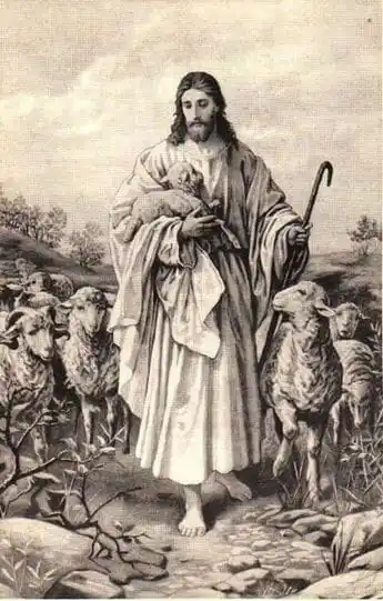 Image from Æternus ☩: "Nós católicos não lemos a Bíblia como quem consulta cartomante em bus...