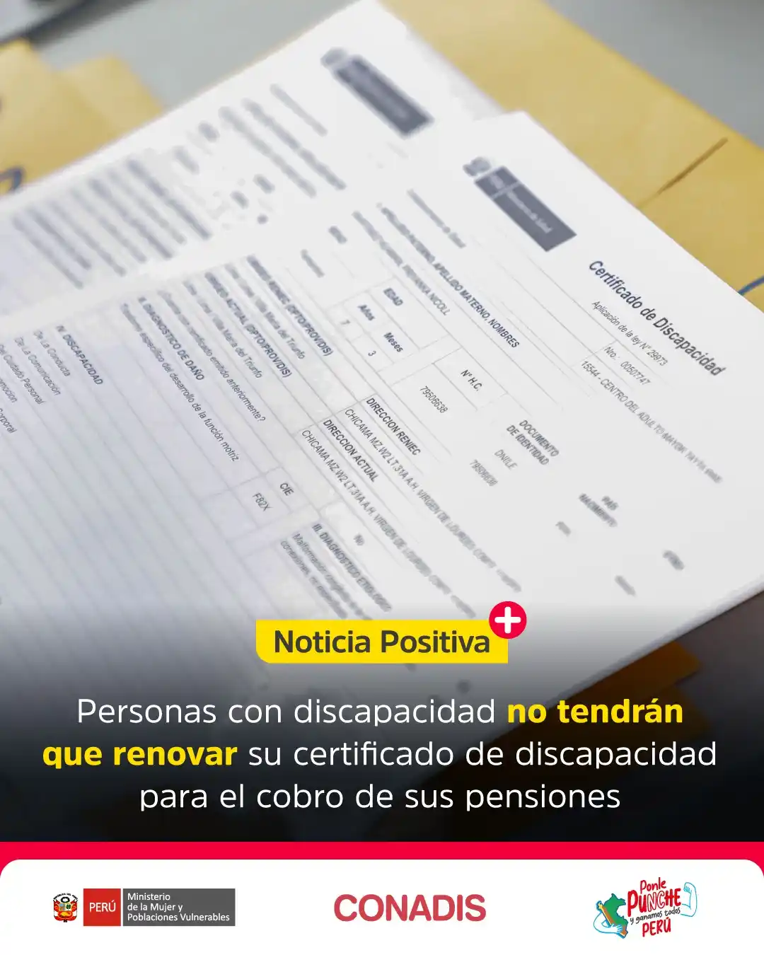 Image from MIMP Conadis: <a class="text-blue-500 hover:underline cursor-pointer" href="/hashtag...