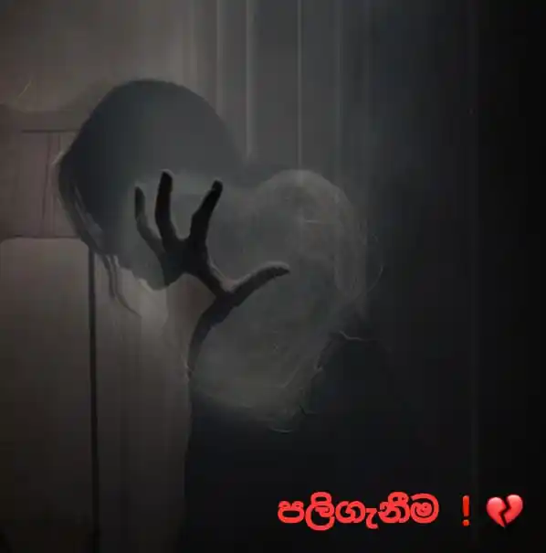 Image from දහයෙ පැයේ ඩේසි පන්හිඳ"|🌼|🇱🇰: *පලිගැනීම ❗💔* (ආදරයත් වෛරයත් අතර ඇත්තේ කුඩා නිමේෂයකි!) පසුගිය කොටසි...
