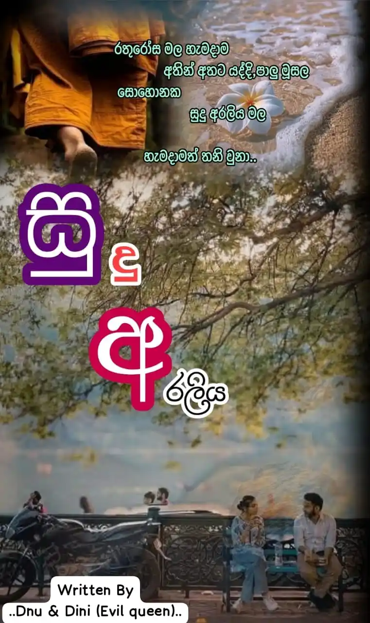 Image from දහයෙ පැයේ ඩේසි පන්හිඳ"|🌼|🇱🇰: ❝...... සුදු අරලිය...... ❞   𝗲𝗽𝗶𝘀𝗼𝗱𝗲  - ➷➷  01.. ❀❀❀❀❀❀❀❀❀❀❀❀❀❀...