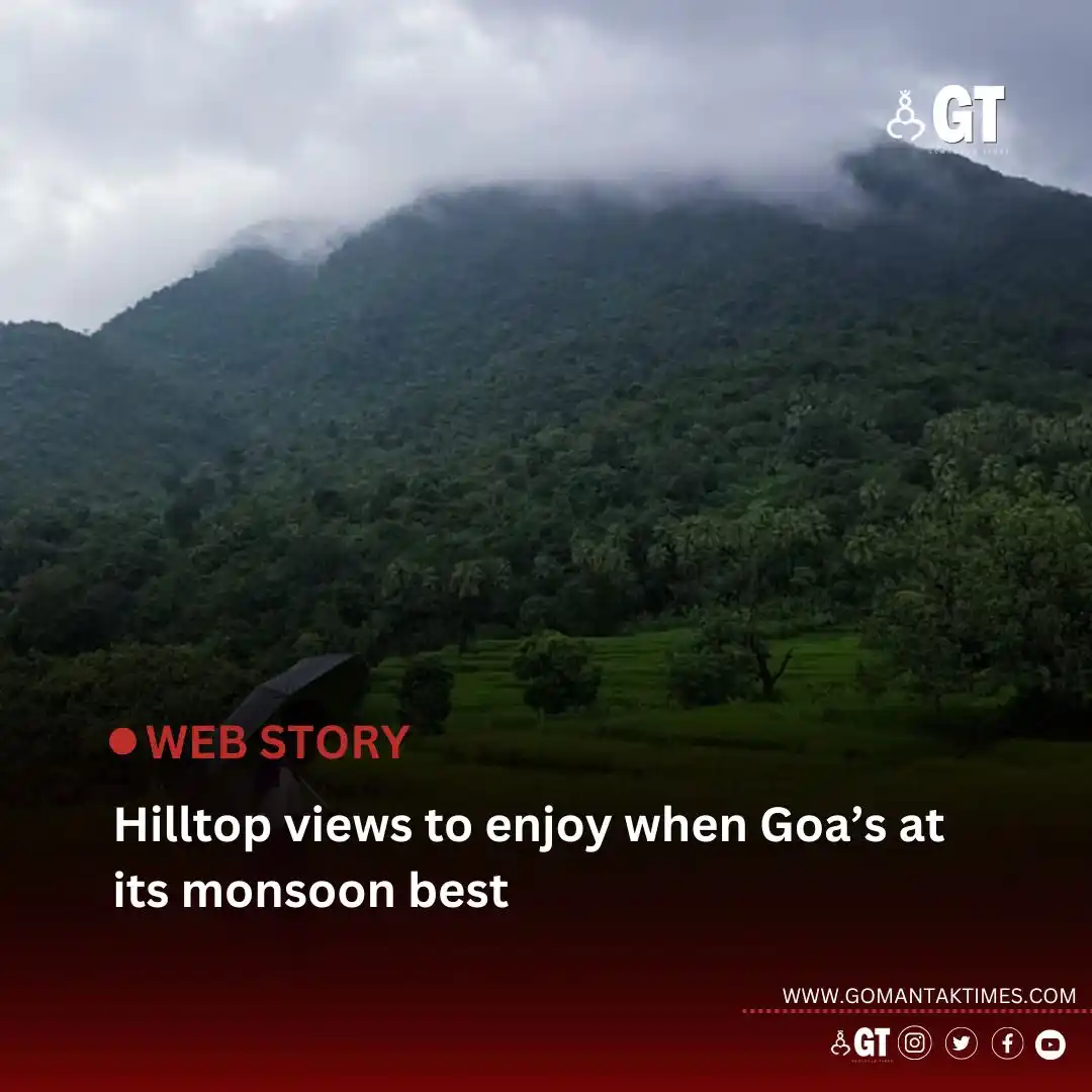 Image from Gomantak Times: *The Goan landscape is a sight to behold during the monsoons. And, it...