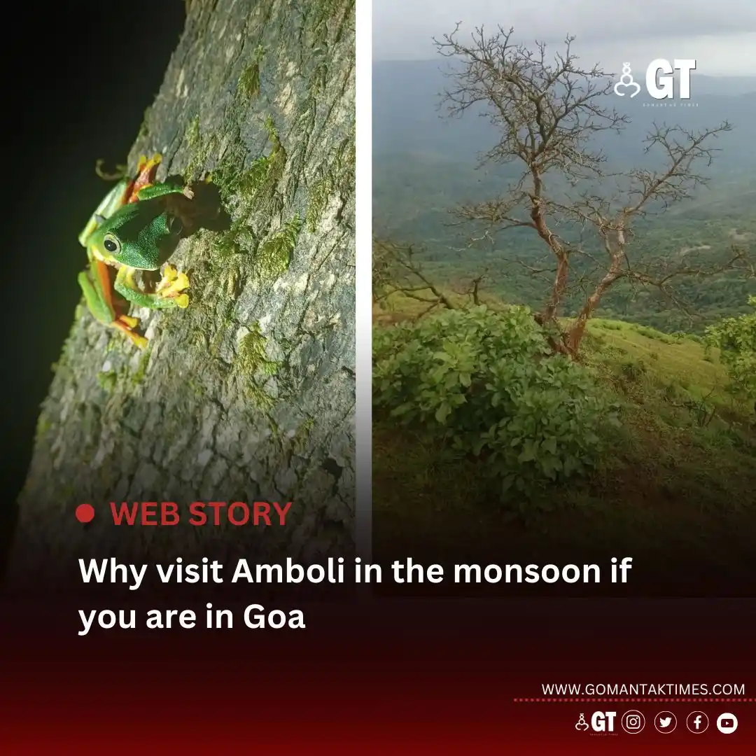 Image from Gomantak Times: *To the north of Goa lies Amboli in Maharashtra where lush valley view...