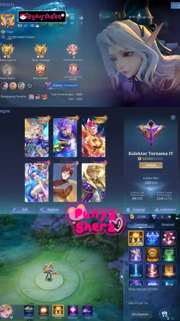 STOK AKUN SHERA post