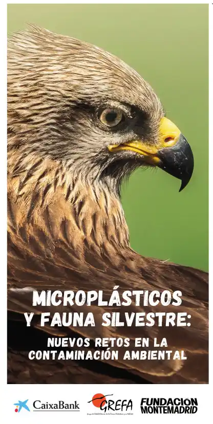 Image from GREFA: 📢 Ya está disponible para su descarga el tríptico 'Microplásticos y <...