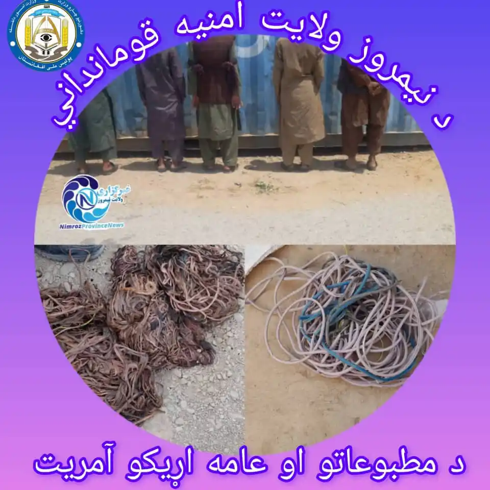 Image from خبرهای ولایت نیمروز: ۵ تن به اتهام سرقت در ولسوالی خاشرود توسط نیروهای امنیتی بازداشت شدند....