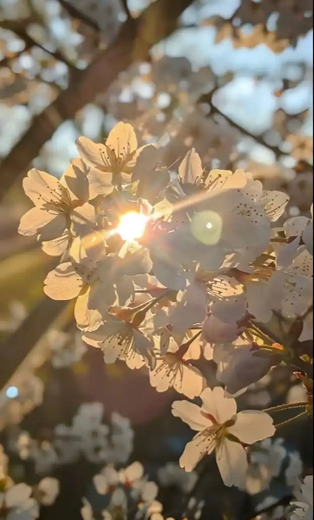 Image from إذاعة القرآن الكريم من القاهرة : اللهم اجعلها جمعة خير وبركة ، ترزقنا فيها مغفرتك ورضوانك ، إنك رؤوف رح...