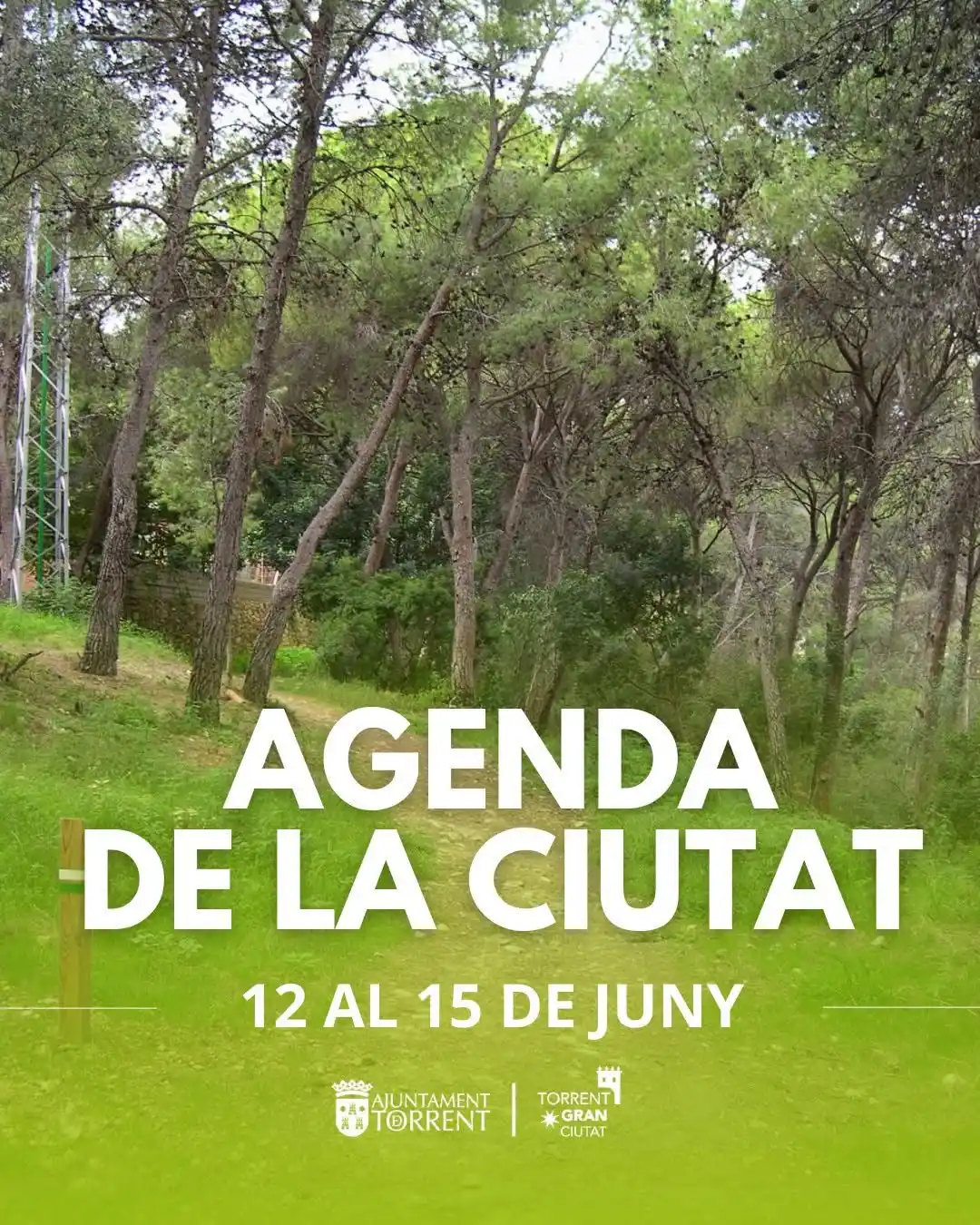 Image from AJUNTAMENT DE TORRENT: 🎉 Este fin de semana <a class="text-blue-500 hover:underline cursor-p...