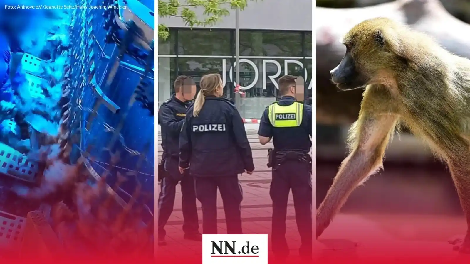 Image from NN.de: Hallo zusammen aus der NN.de Redaktion, an diesem Dienstag haben wir f...