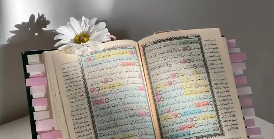 Image from وَربُّك الأقرَب والأحَنّ 🤎.: «حصَّنتُ بالقــرآن نبضَ فؤادي وجعلته يـطـغَـى عَلىٰ أنكـــادِي مَن ...