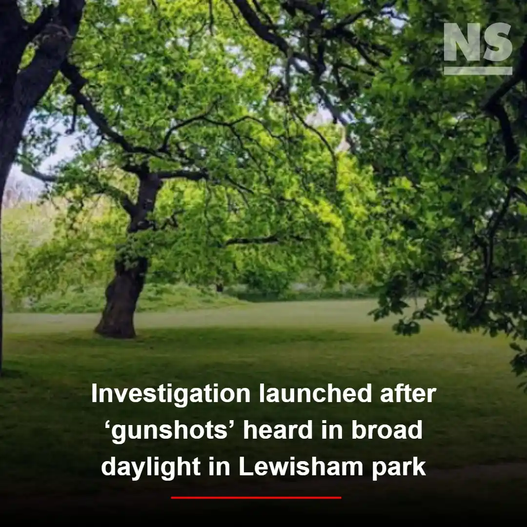 Image from News Shopper - South East London News: https://www.newsshopper.co.uk/news/25189316.ladywell-fields-lewisham-i...