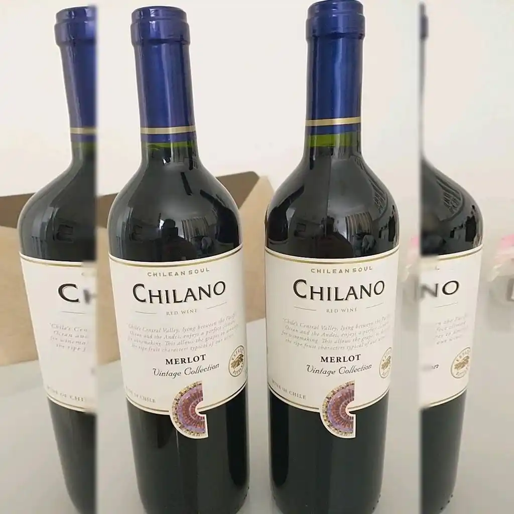 Image from Promodescontos (canal): Perfeito para acompanhar massas, grelhados e queijos 🍷🇨🇱 📦 Frete ...