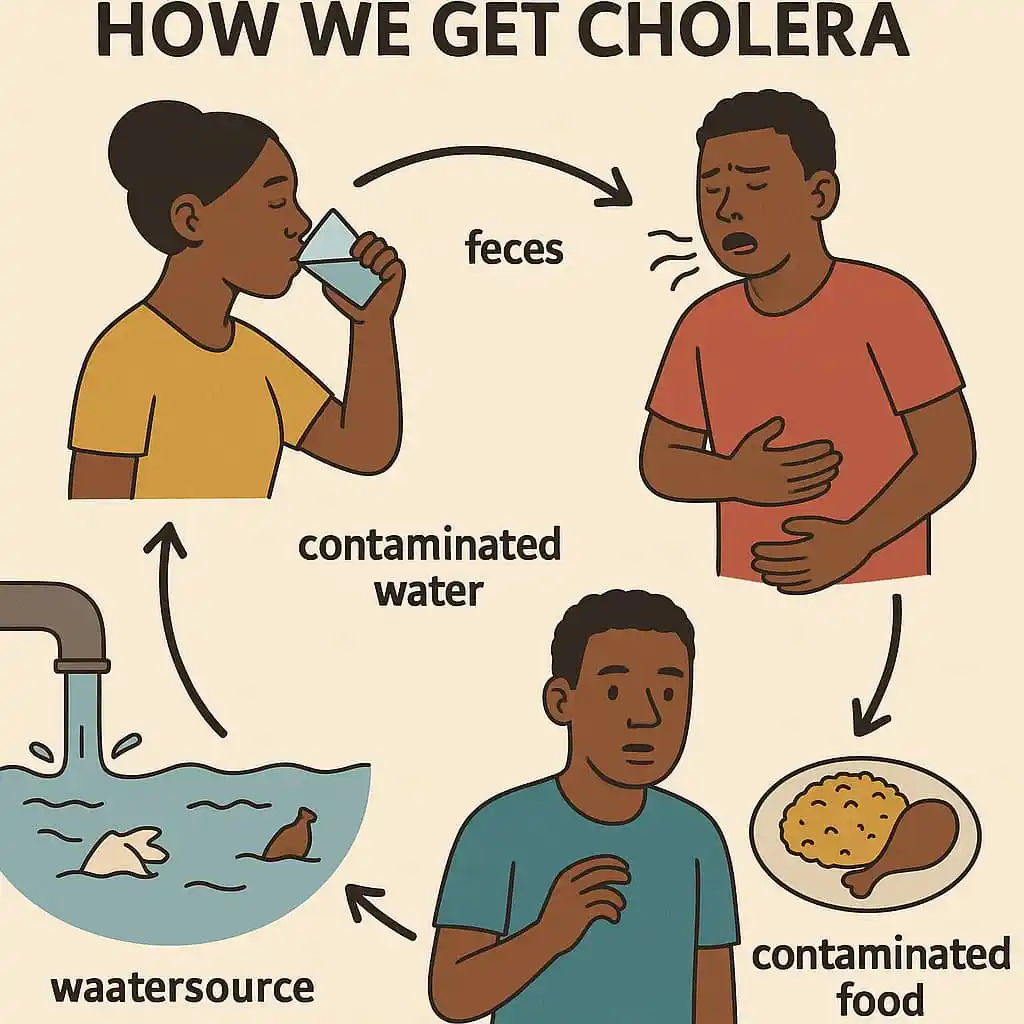 Image from WEALTH, HEALTH AND WISDOM HUB: *UNDERSTANDING CHOLERA: WHAT IT IS, HOW WE GET IT, AND NATURAL WAYS TO...